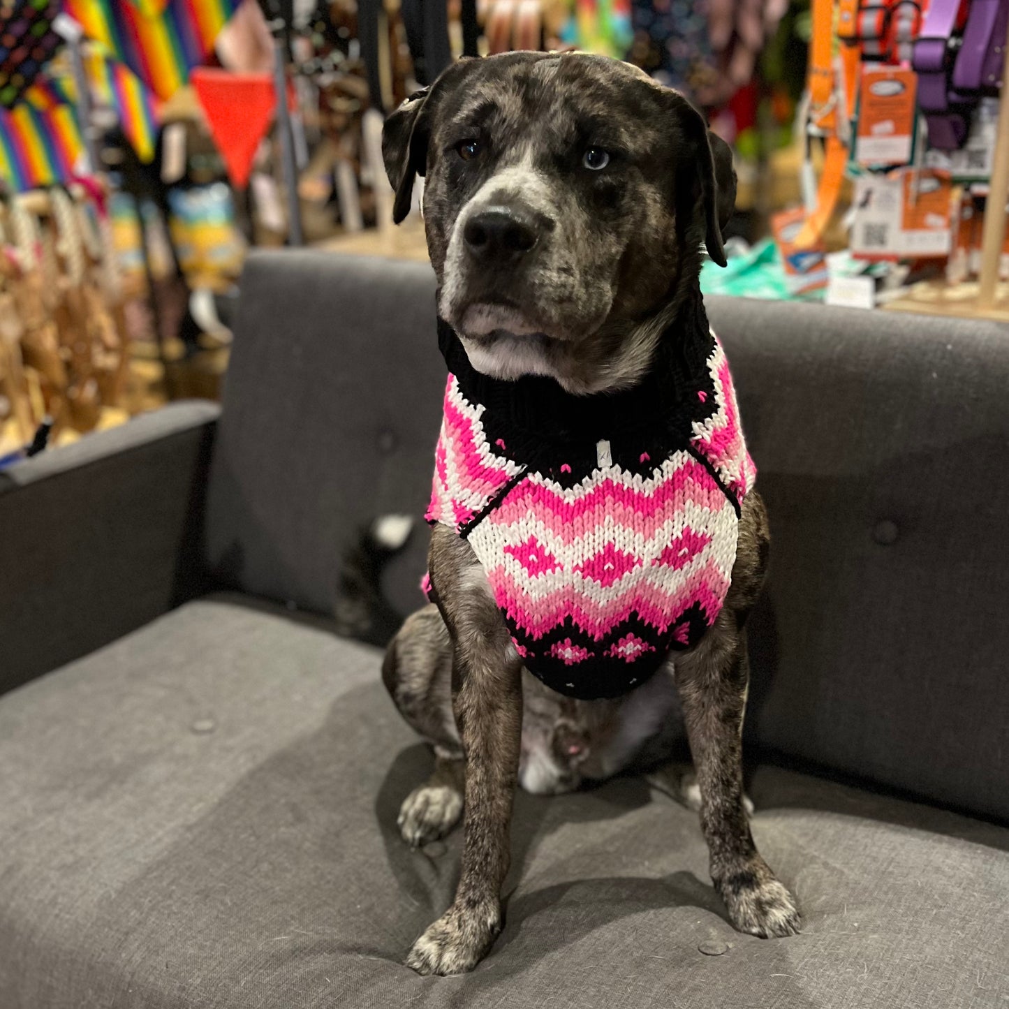 Chilly Dog Sweaters Arctic Pink Sweater