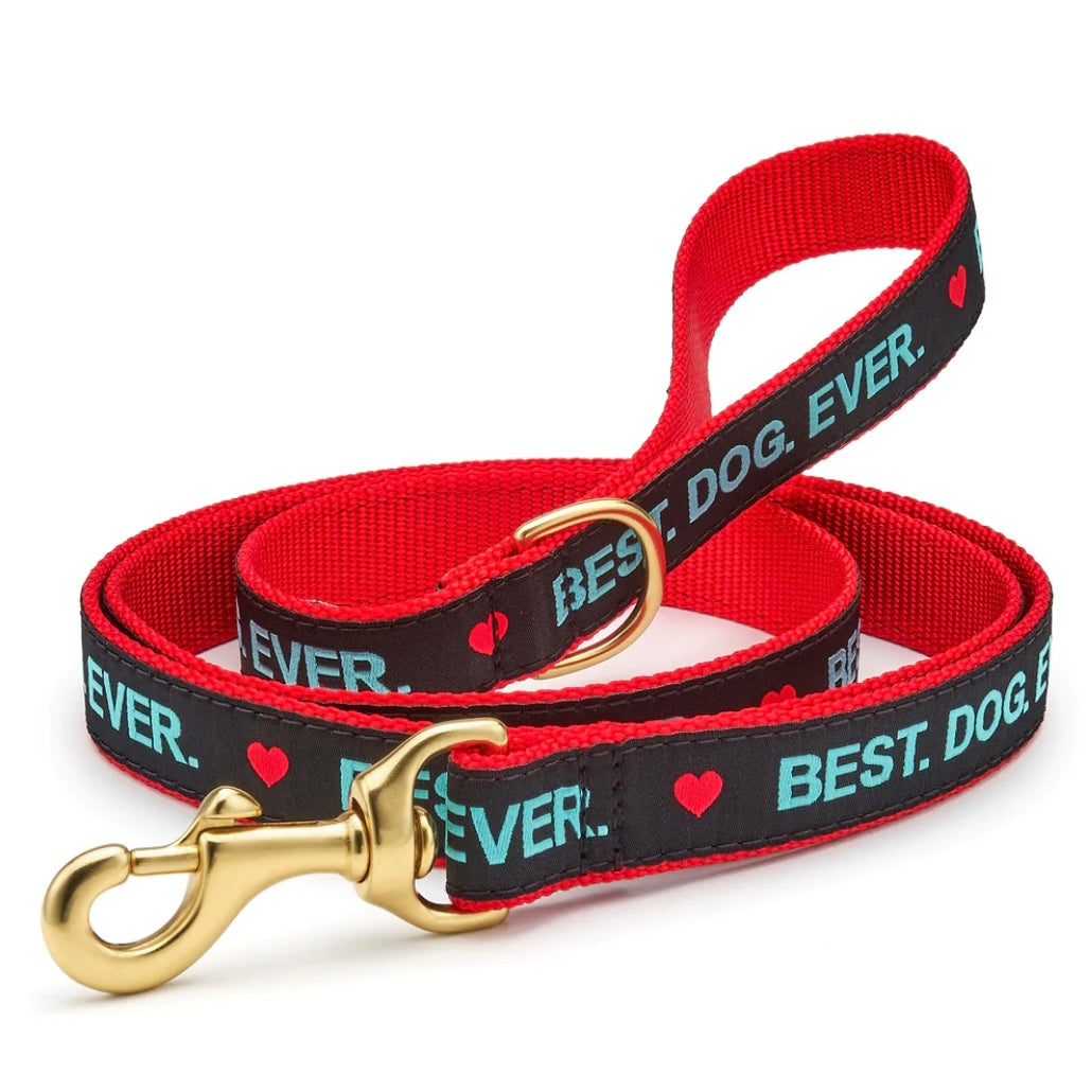 Up Country Best Dog Ever 5' Leash