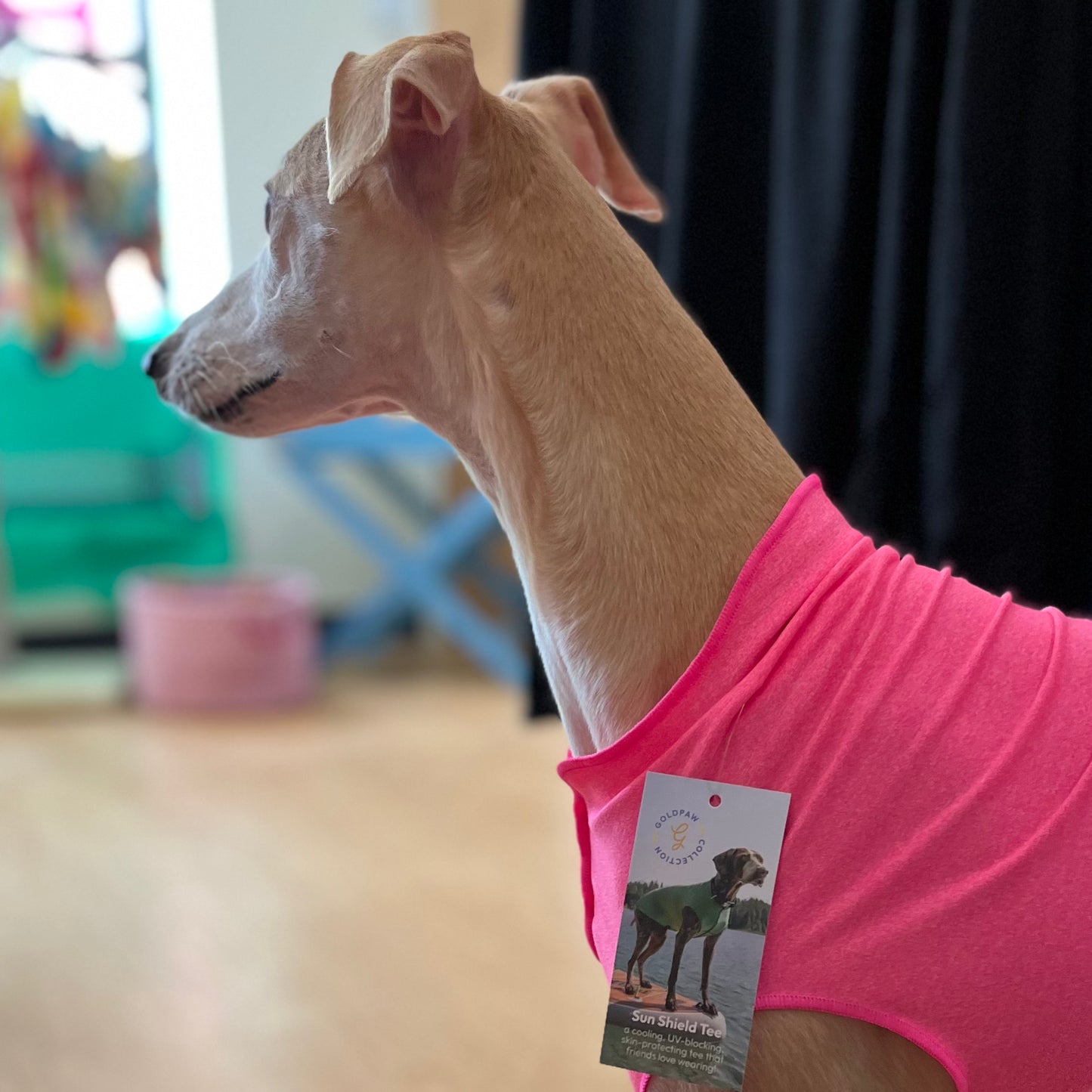 GoldPaw Sun Shield Tee