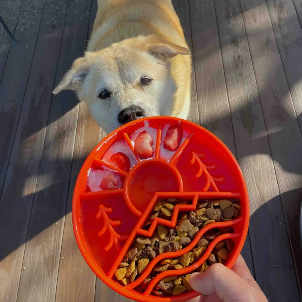 SodaPup Great Outdoors eBowl Enrichment Slow Feeder Bowl