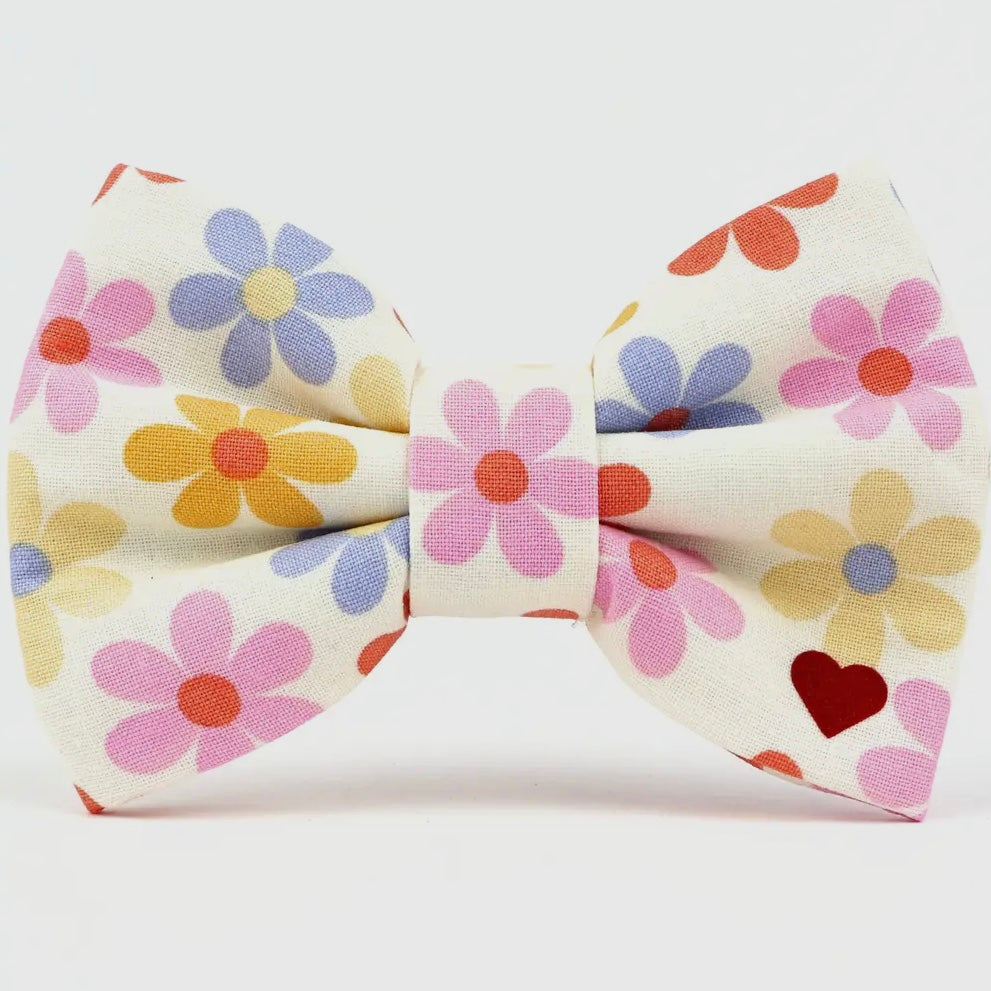 Dubdog Bow Tie - "Betty"