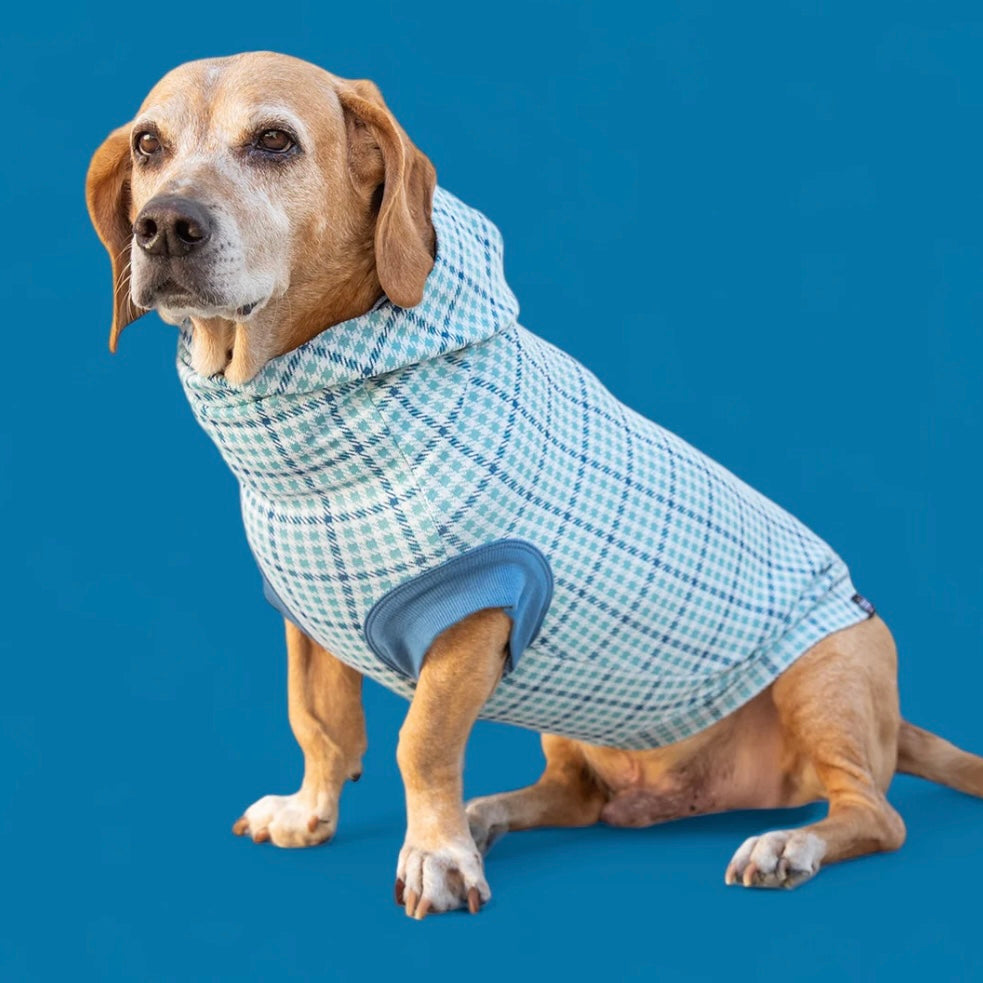 Long Dog Clothing Blue Hound Hoodie