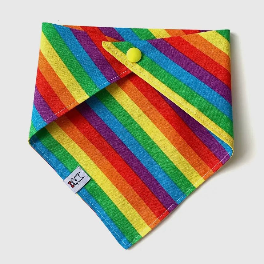 Winthrop Clothing Co. Rainbow Dog Bandana