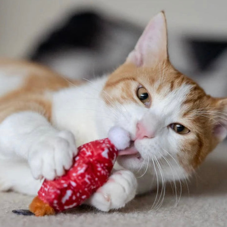 Feline Frenzy Meowy Christmas