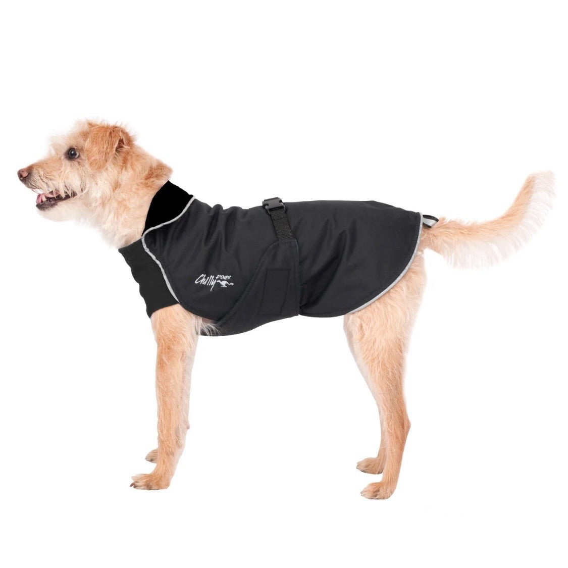 Chilly Dogs Harbour Slicker (Standard Cut)