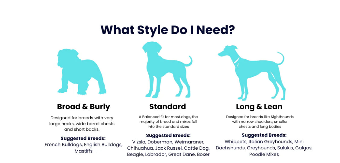 Chilly Dogs Harbour Slicker (Broad and Burly cut)