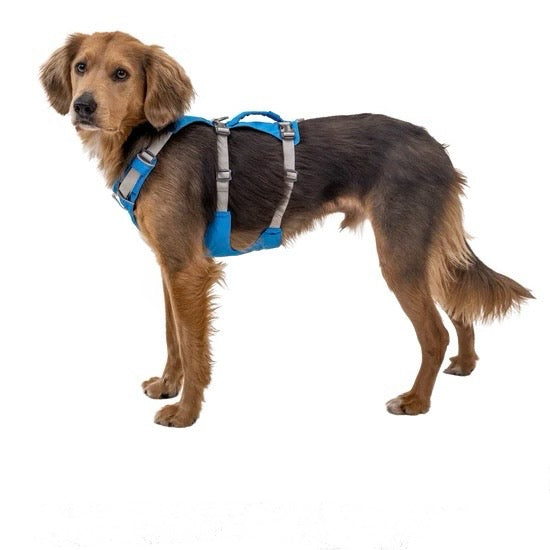 Ruffwear Flagline Dog Harness - Lightweight No-Pull Harness For Hiking & Everyday Use