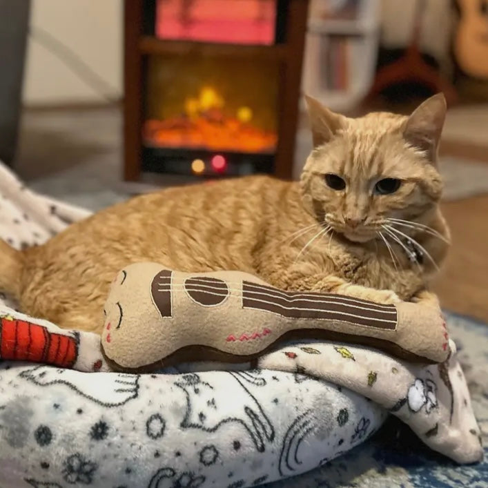 Screaming Pickles Guitar Catnip Kicker