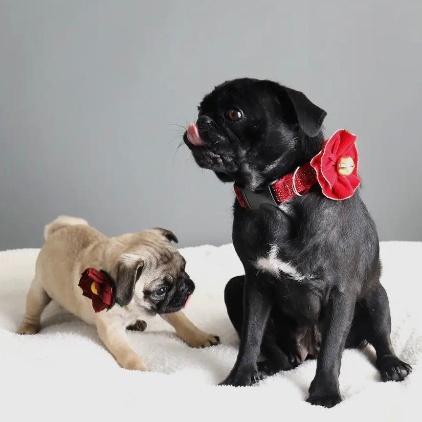 Mimi Green Gold Edged Velvet Collar Flower & Bell