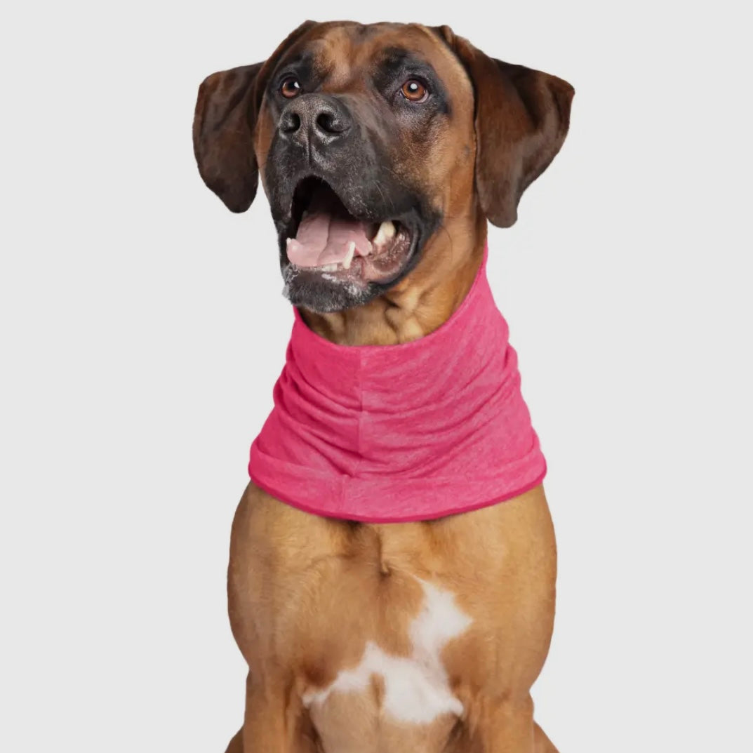 GoldPaw Sun Shield Tee