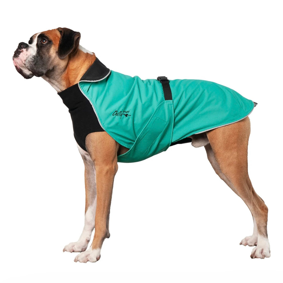Chilly Dogs Harbour Slicker (Broad and Burly cut)