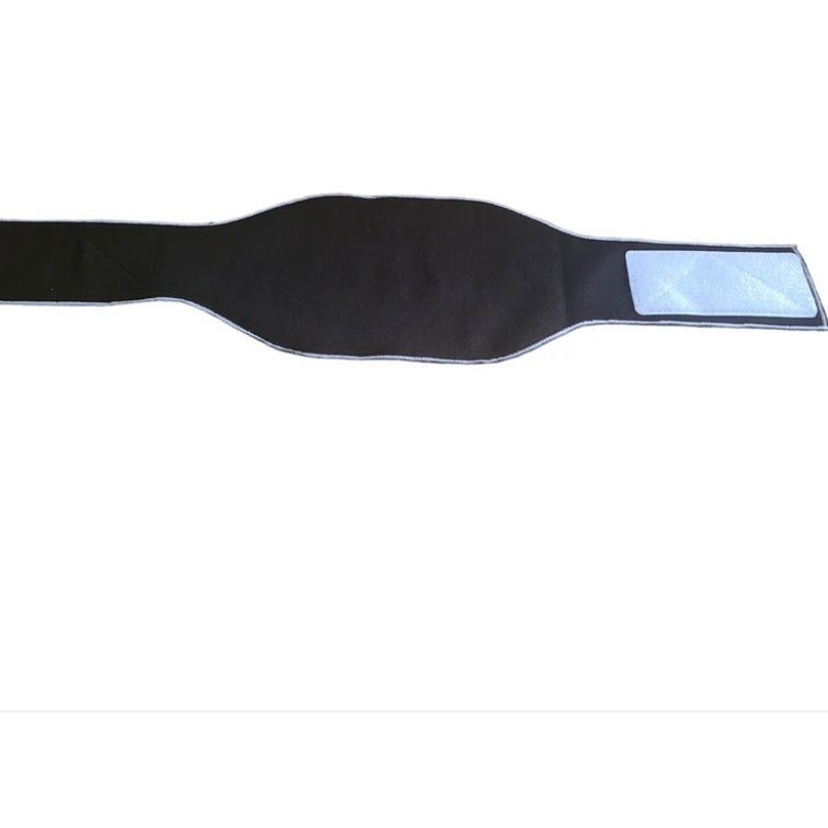 Jack & Jill Dog Belly Band