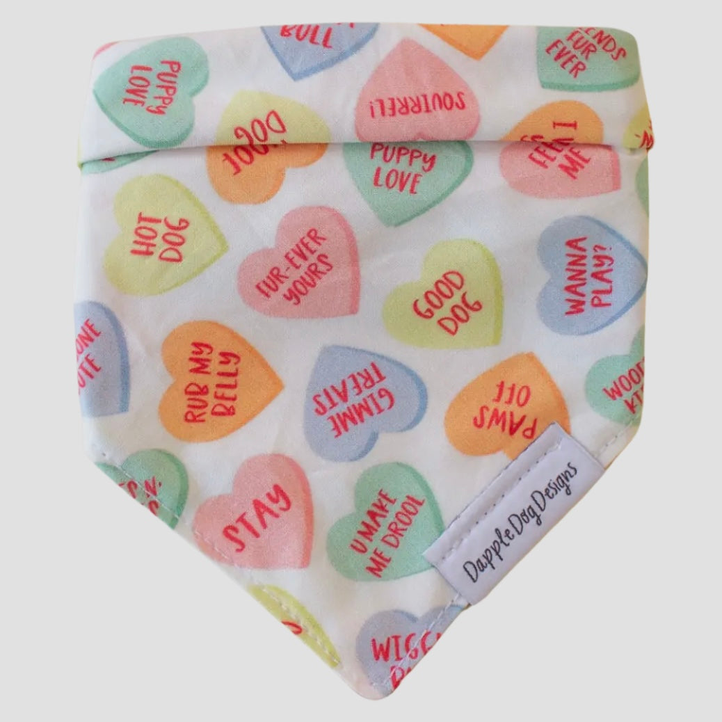Dapple Dog Conversation Hearts Bandana