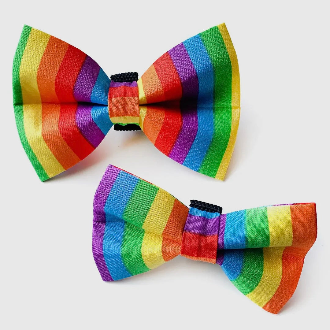 Winthrop Clothing Co. Rainbow Stripe Dog Bow Tie