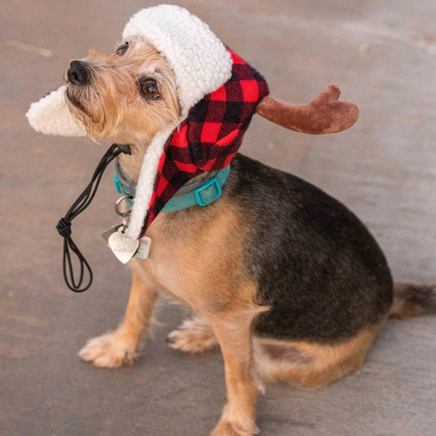 Huxley & Kent Buffalo Check Antler Hat