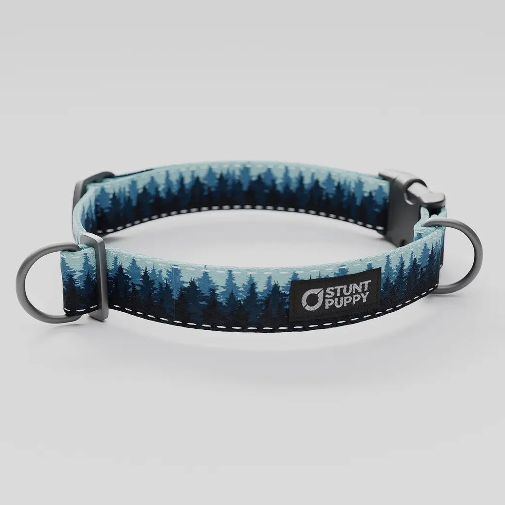Stunt Puppy Reflective Stitch Everyday Collar