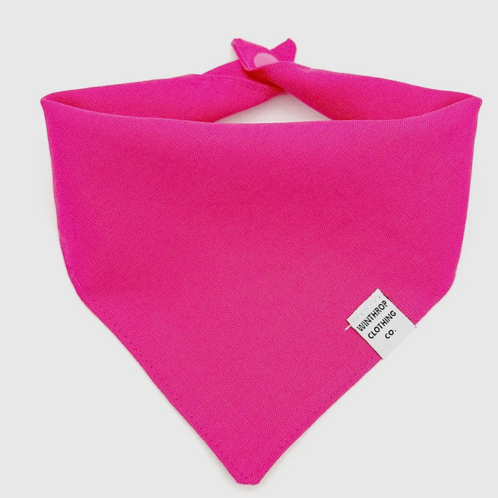 Winthrop Clothing Co. Hot Pink Bandana