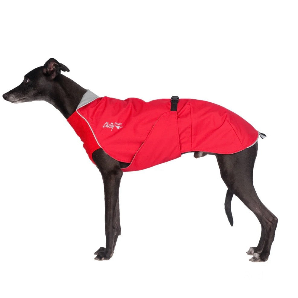 Chilly Dogs Harbour Slicker (Broad and Burly cut)