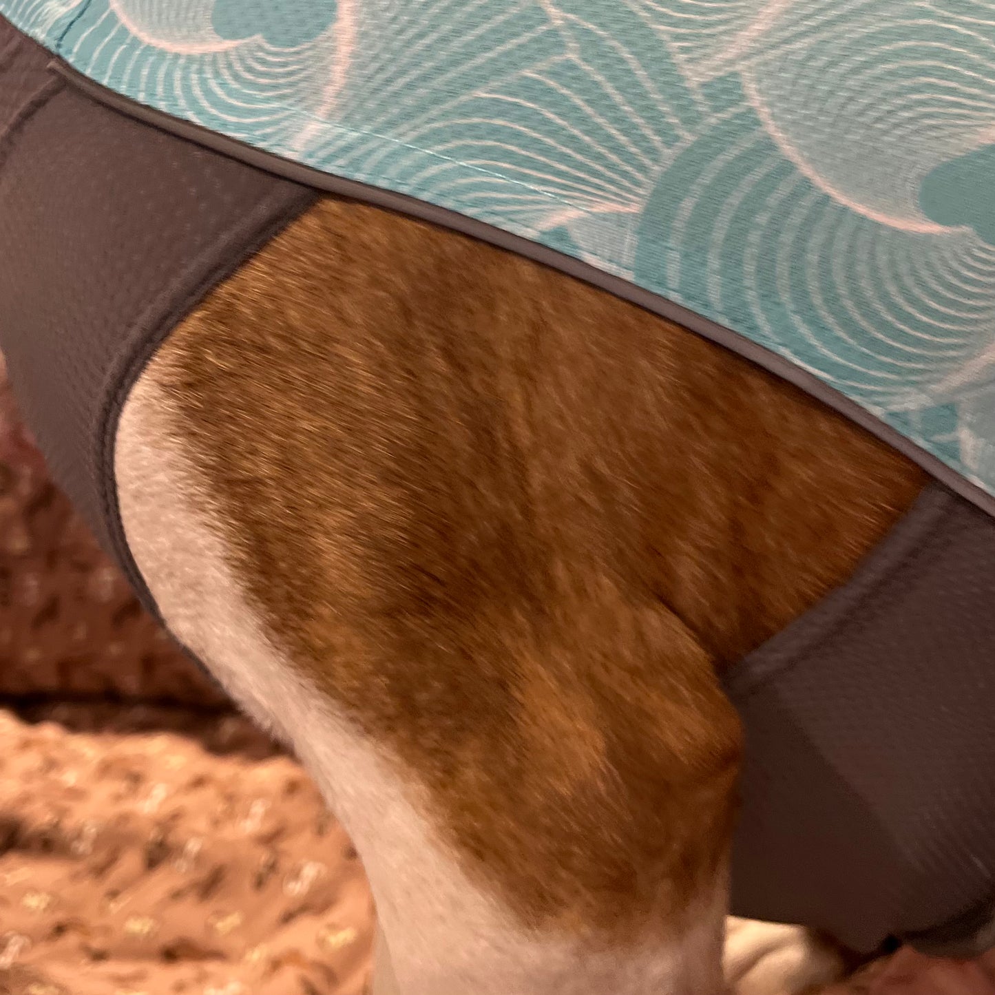PEBOT Dobby Cooling Tee