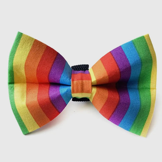 Winthrop Clothing Co. Rainbow Stripe Dog Bow Tie
