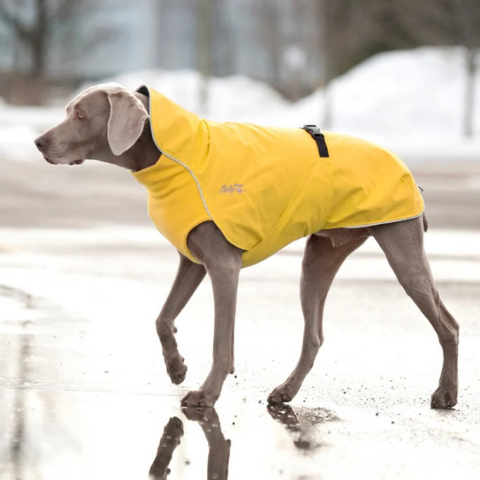 Chilly Dogs Harbour Slicker (Broad and Burly cut)