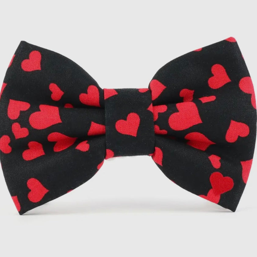 Dubdog Bow Tie - "Be Mine"