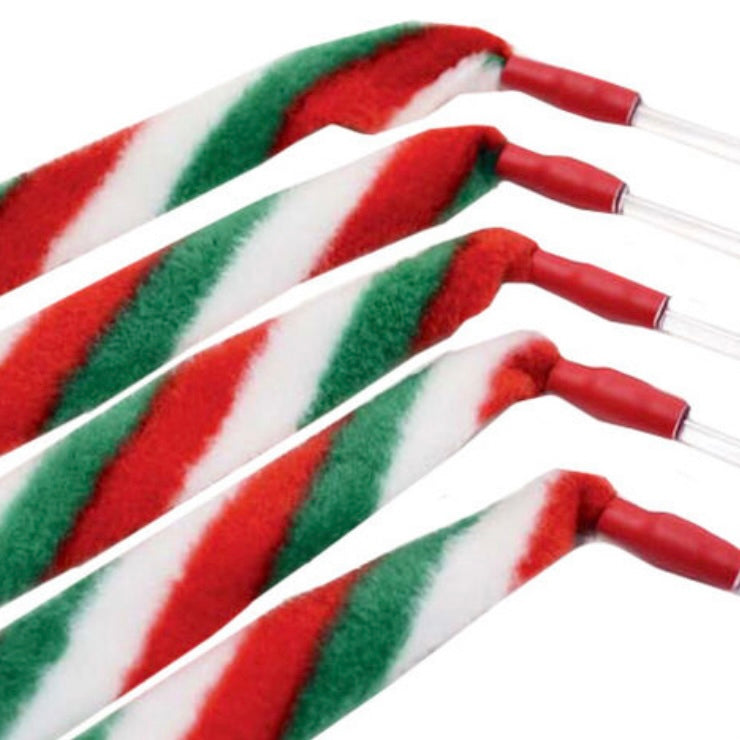 Cat Dancer Cat Charmer