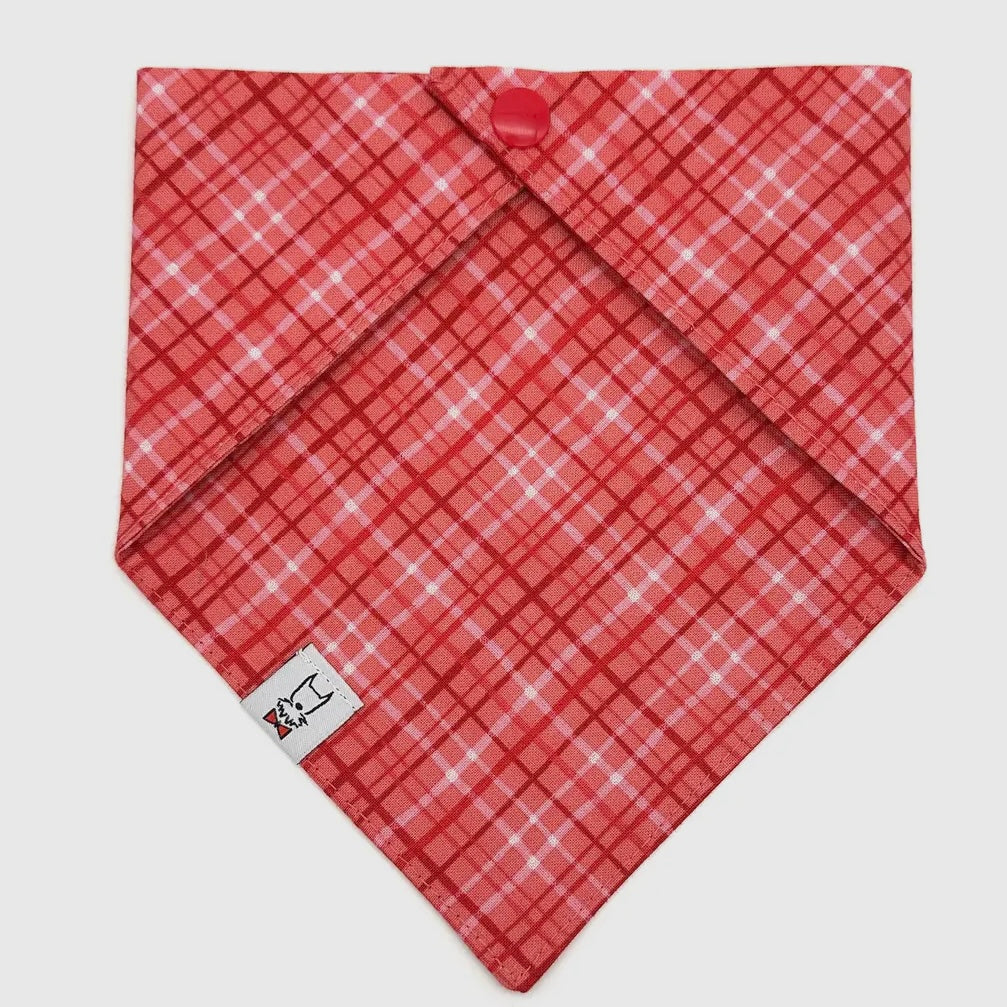Winthrop Clothing Co. Valentine's Plaid Dog Bandana