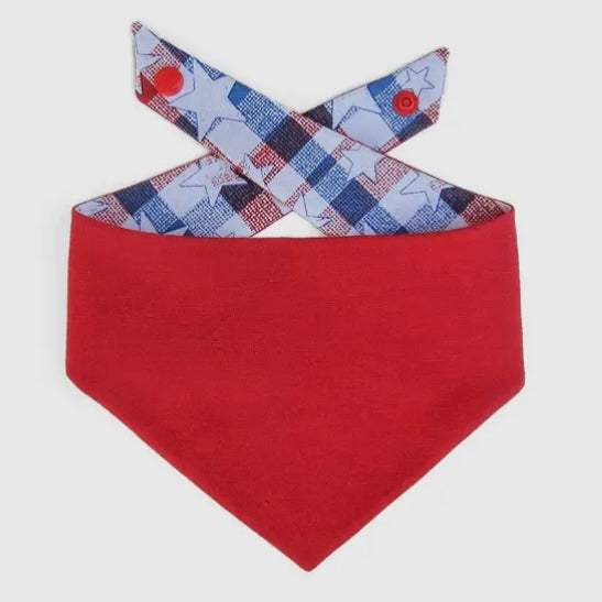 Winnie and the Hound Stars and Stripes Bandana