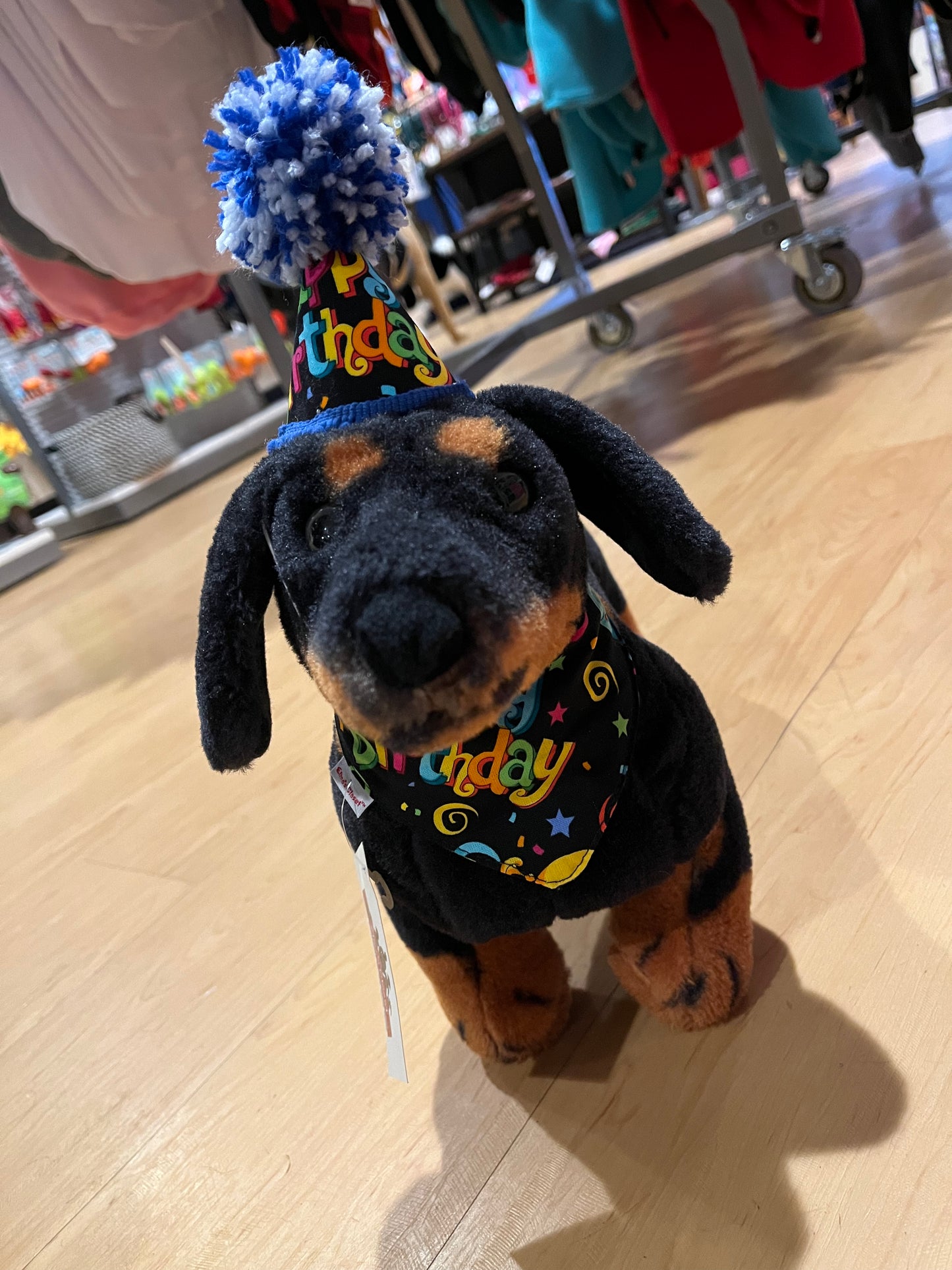Elmo's Closet Birthday Celebration Pet Bandana