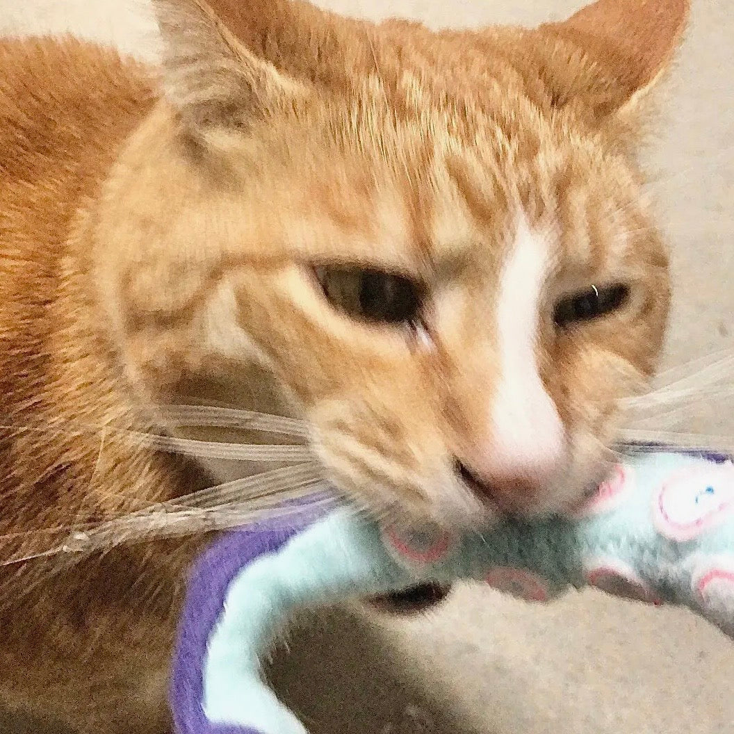 Miso Handmade Catnip Kraken