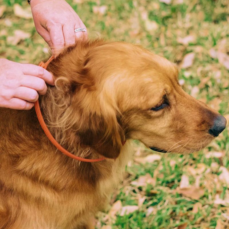 Wondercide Flea + Tick Collar