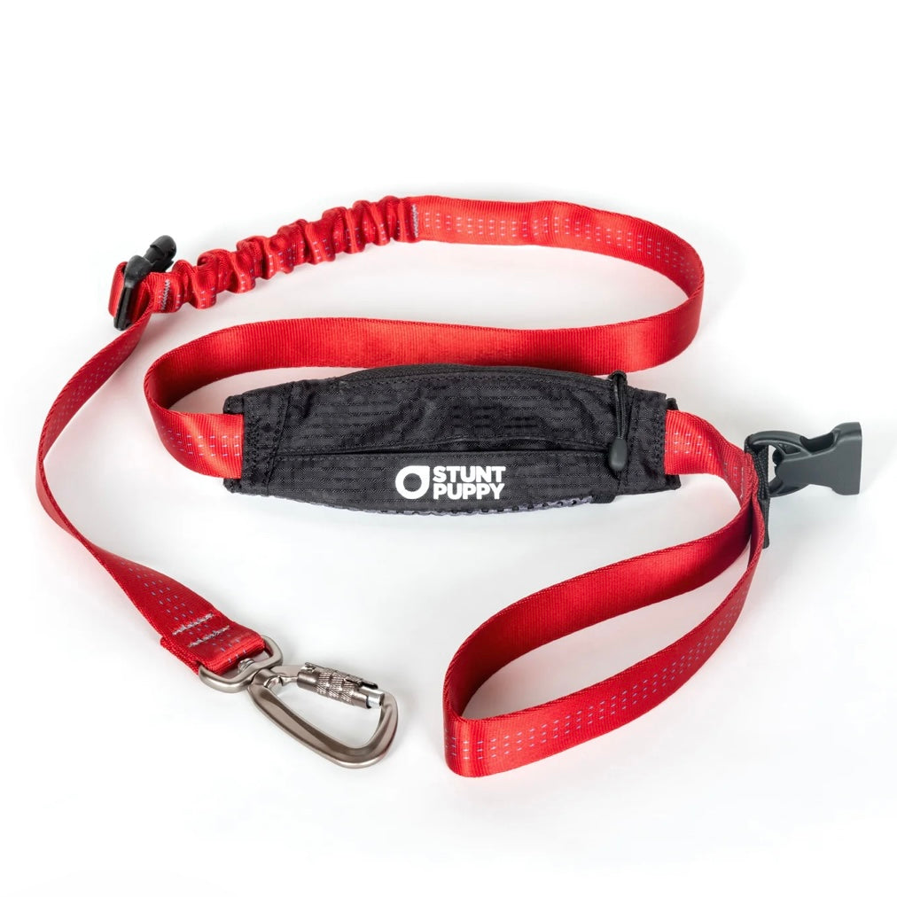 Stunt Puppy Scout Leash