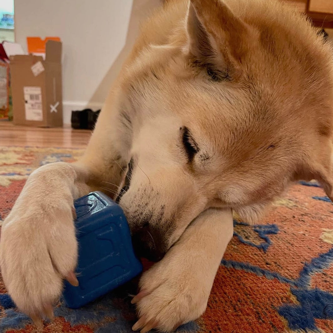 SodaPup Love Cube Durable Rubber Chew Toy & Treat Dispenser