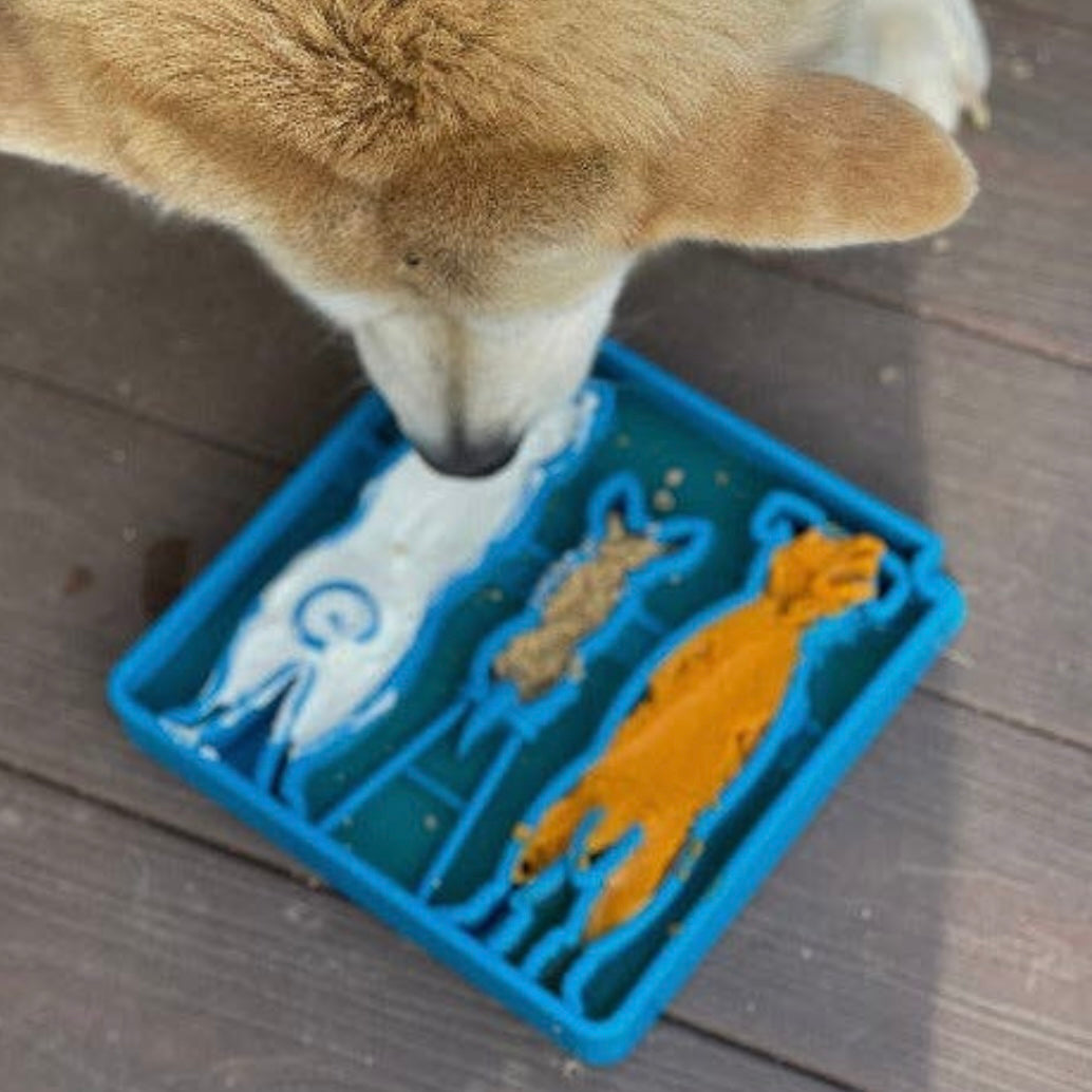 SodaPup Waiting Dogs eTray Enrichment Tray for Dogs