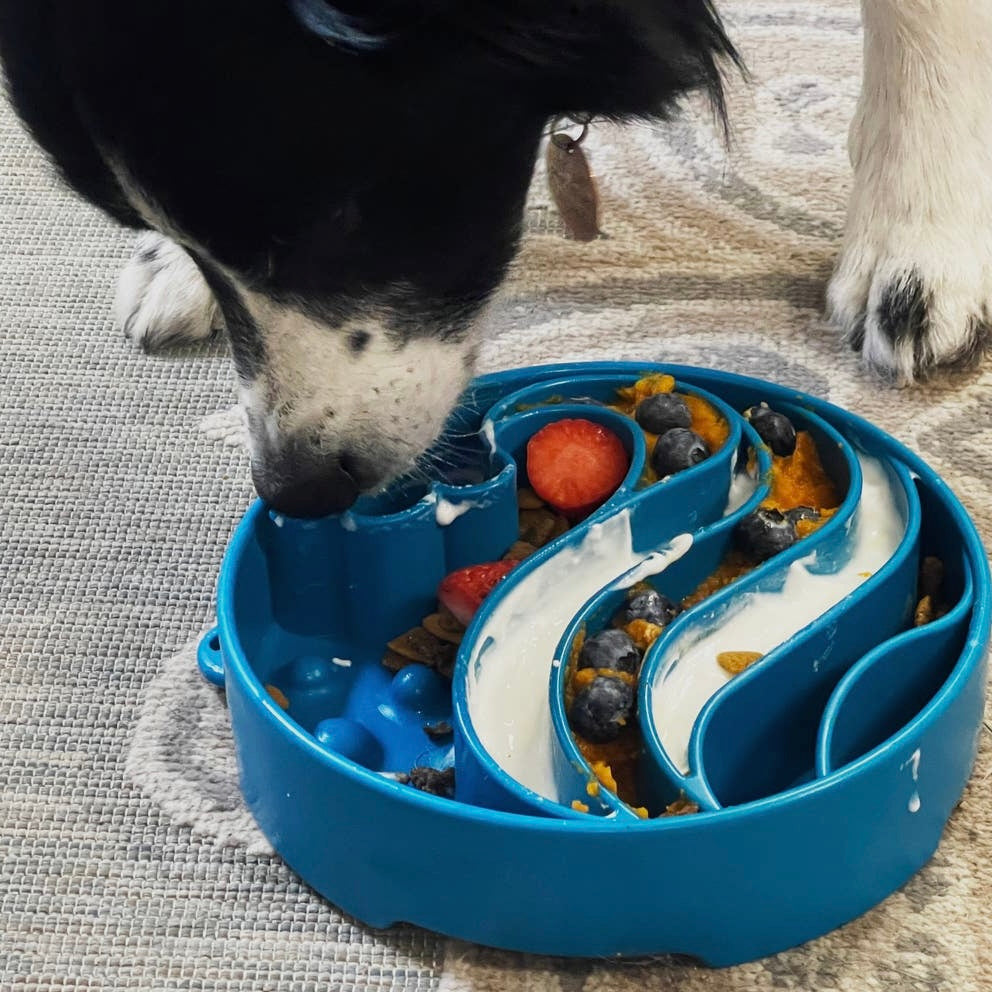 SodaPup Wave Design eBowl Enrichment Slow Feeder Bowl
