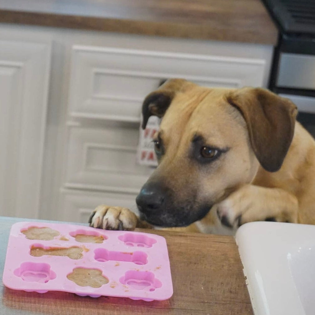 Cooper's Treats Pupsicle Paw and Bone Silicone Molds