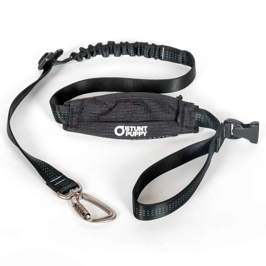 Stunt Puppy Scout Leash