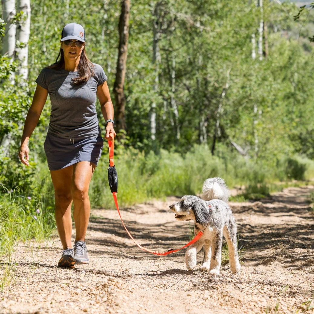 Stunt Puppy Scout Leash