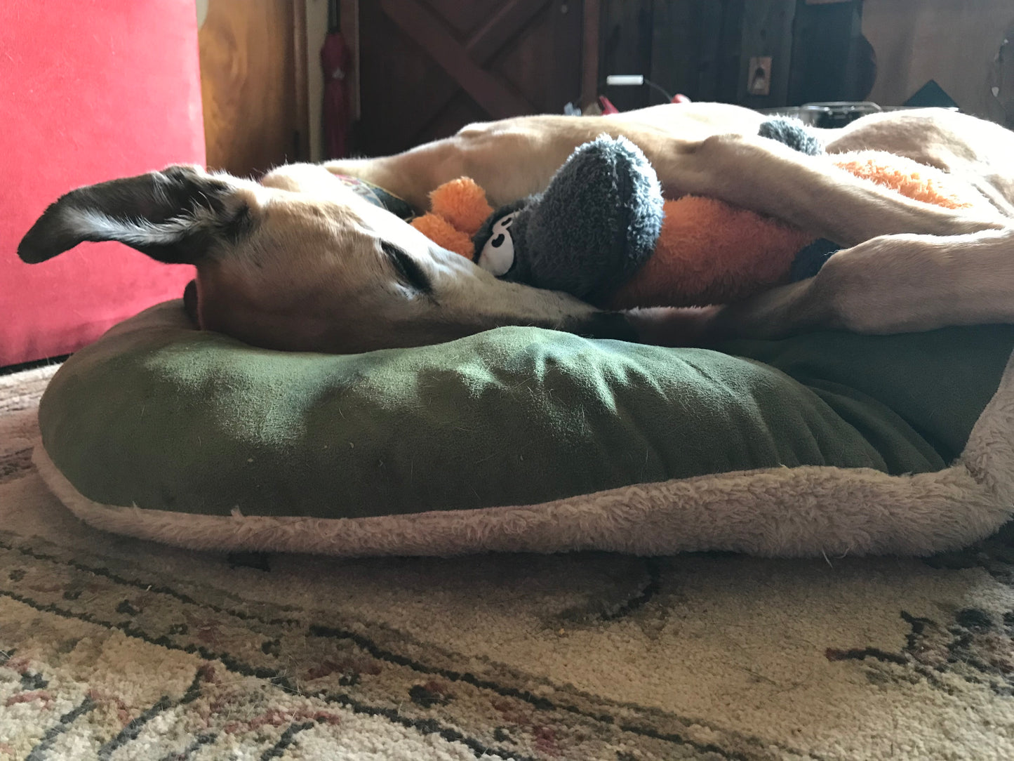 Cycle Dog Duraplush Giraffe