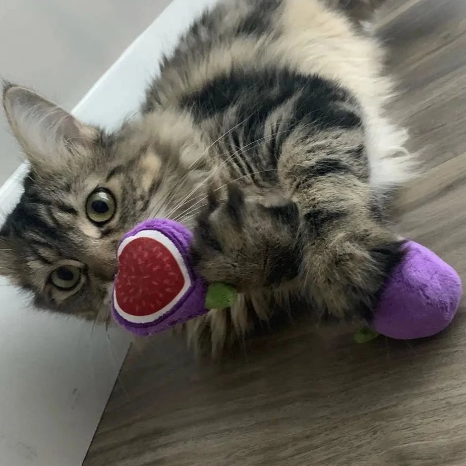Munchiecat Figs