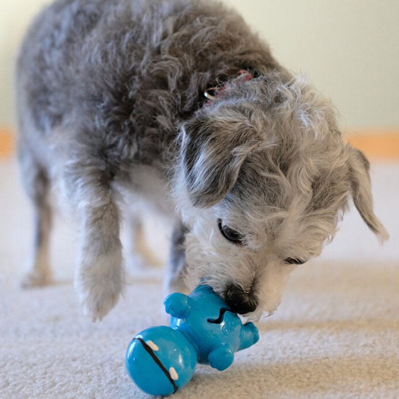 Cycle Dog Ecolast 3 Play Hippo