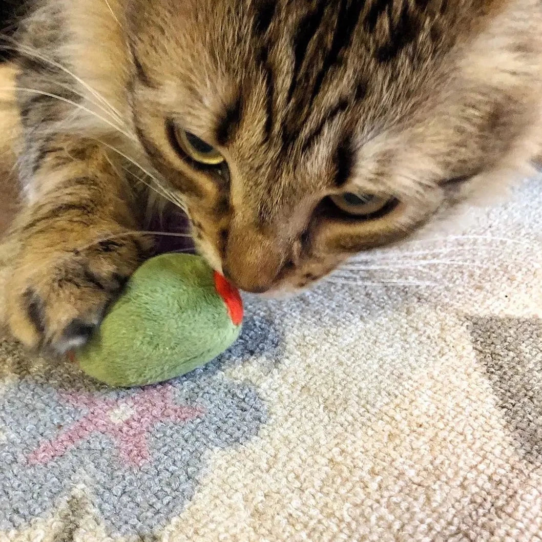 Munchiecat Olives