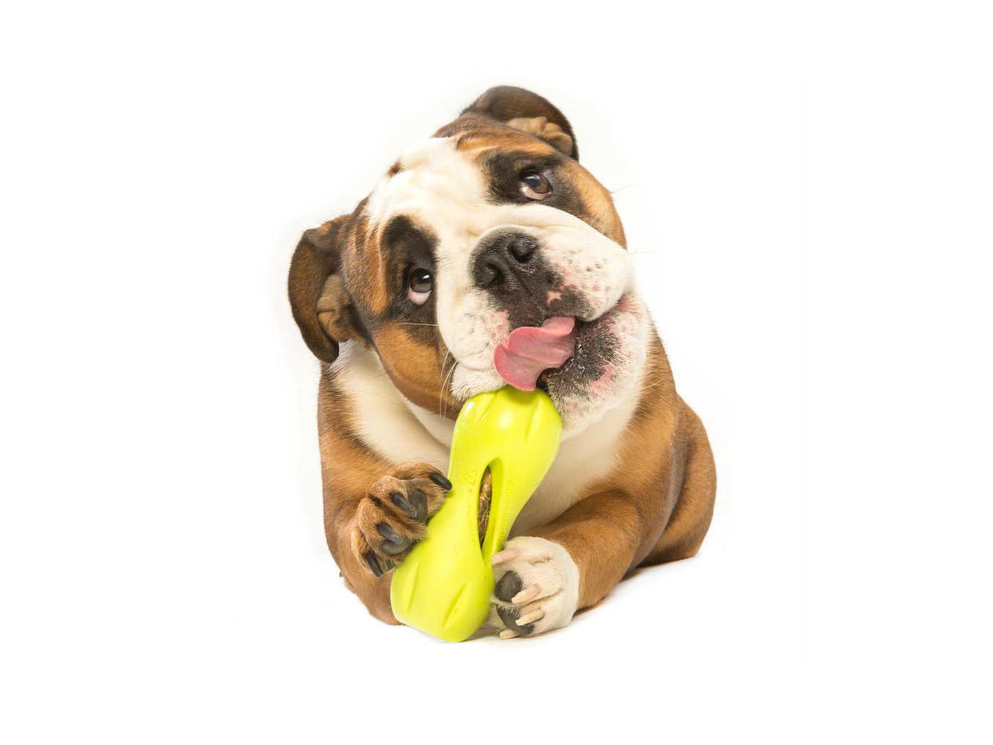 West Paw Qwizl Treat Stuffing Toy