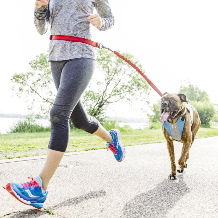 Stunt Puppy Stunt Runner Leash