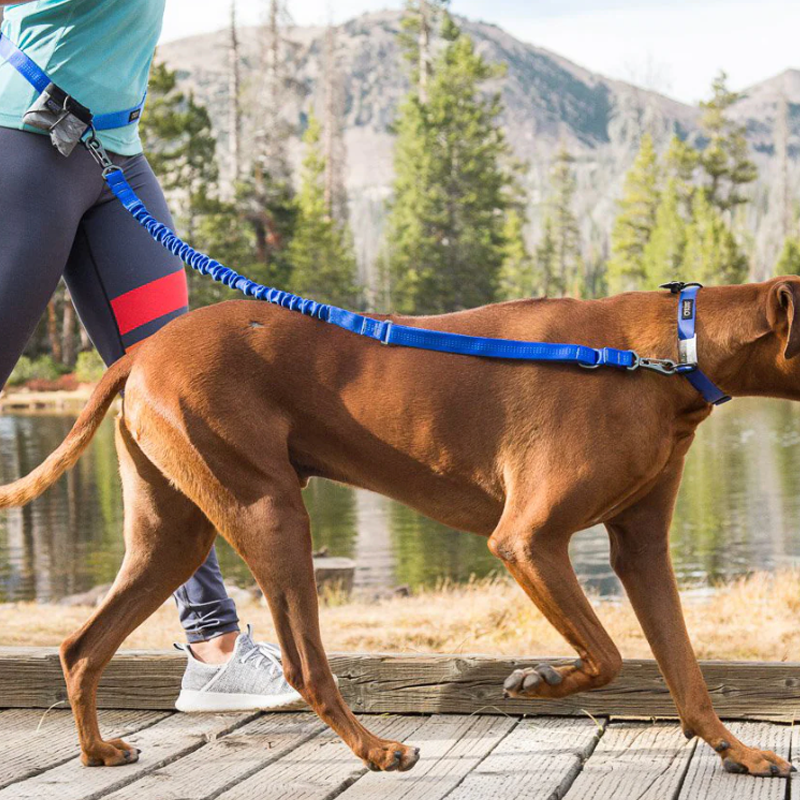 Stunt Puppy Blue Pines Stunt Runner Leash