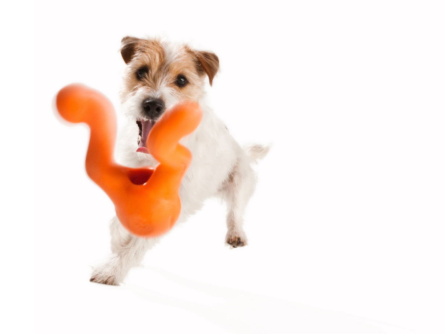 West Paw Tizzi Treat Stuffing Toy