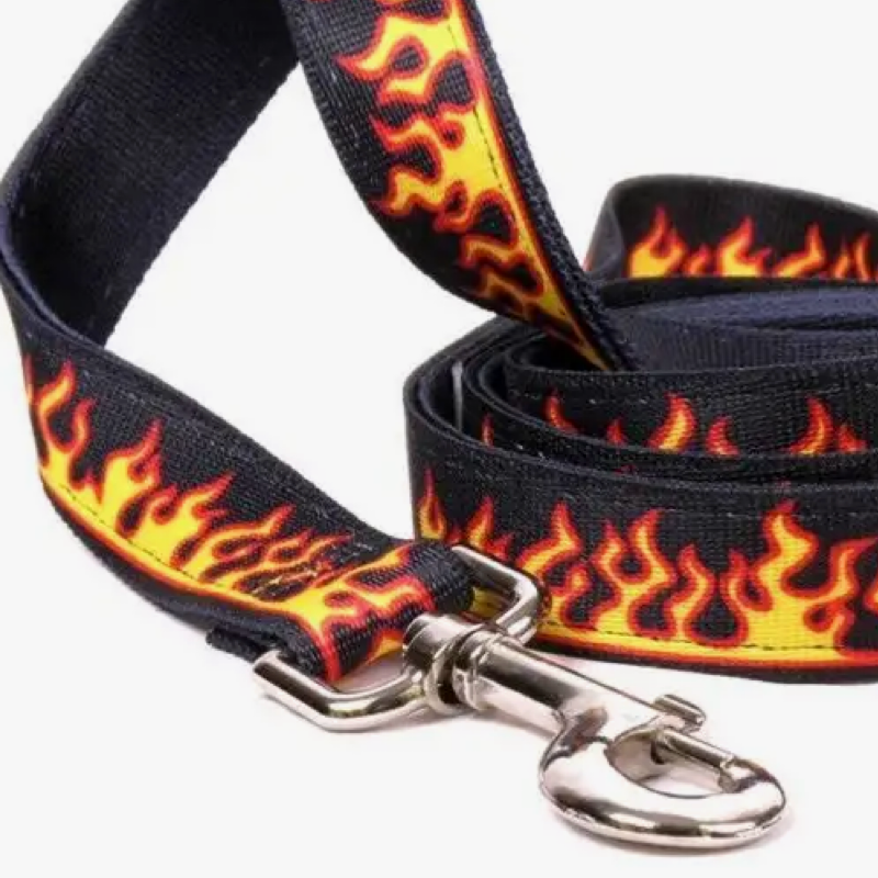 1" Yellow Dog Design 60" Standard Pet Leash - Patterned