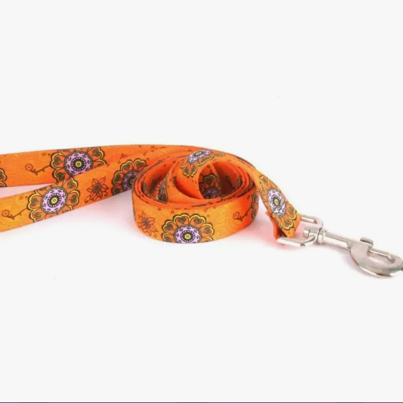 1" Yellow Dog Design 60" Standard Pet Leash - Patterned