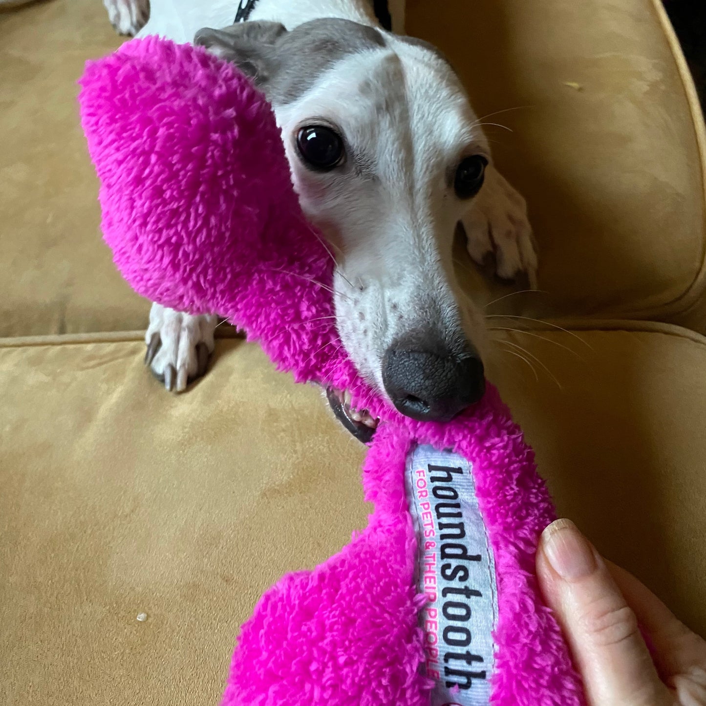 Houndstooth Duraplush Bone